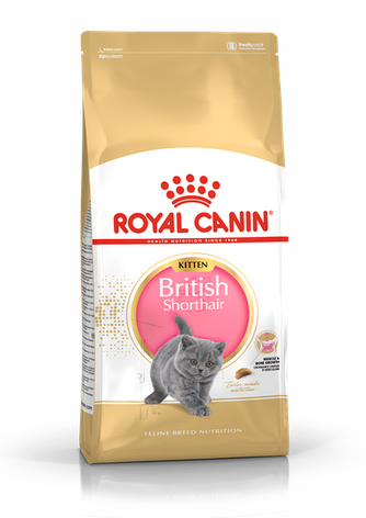 Royal Canin Kitten British Shorthair (Роял Канін) для кошенят породи Британська короткошерста у віці до 12, фото 1