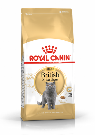 Royal Canin British Shorthair (Роял Канін) 34 для кішок породи Британська короткошерста старше 12 місяців 4 кг, фото 1