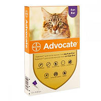 Bayer Advocate средство против блох и клещей для кошек, упаковка 4-8кг