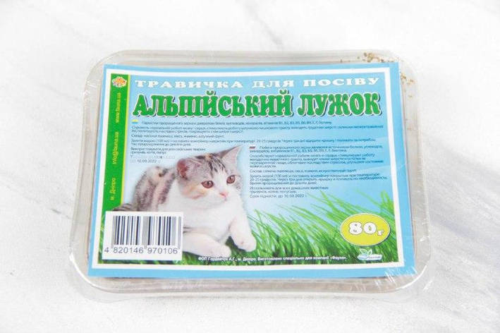Альпійський лужок-травичка для котів пластикова упаковка пласт. уп., фото 1