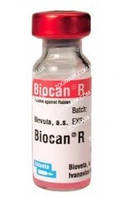 Биокан R вакцина против бешенства для собак, Bioveta Биокан R, Bioveta, Чехия