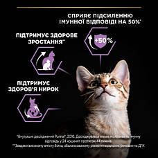 PRO PLAN Original Kitten сухий корм для кошенят із куркою 10 кг, фото 5