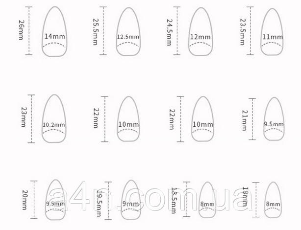 Накладные ногти - Интернет-магазин A4N Размеры накладных ногтей