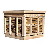 Вулик з очерету12-ти рамковий 1 корпус дадан з гігієнічним дном, фото 2