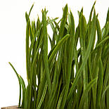 Штучна рослина в горщику - зелена травка, зелений, 15 см, пластик (960347), фото 2