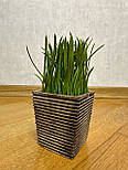 Штучна рослина в горщику - зелена травка, зелений, 15 см, пластик (960347), фото 3