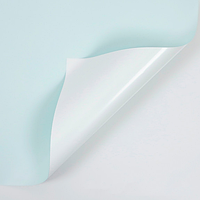 Плівка (калька) в листах "Двостороння: блідо-зелена + аквамарин" (58 см х 58 см) 5 листів