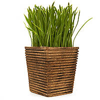 Декоративное Искусственное растение в горшочке зеленая трава, зеленый, 15 см, пластик (960347)