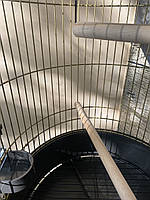 Клітка для великих папуг Ferplast MAX 6 "Antique Brass", фото 3