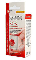 Eveline Nail Therapy SOS-лак-кондиционер для ломких и ломких ногтей. (6362160)