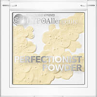 Bell HypoAllergenic Perfectionist Powder гипоаллергенная косметическая пудра № 01 1 шт. (6477467)