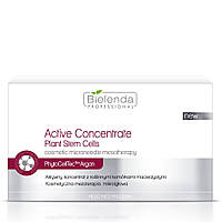 Bielenda Professional Active Concentrate активный концентрат со стволовыми клетками растений 10х3 мл (6815027)