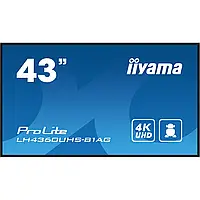 Информационный дисплей 43" IIYAMA ProLite LH4360UHS-B1AG VA безрамочный экран Черный