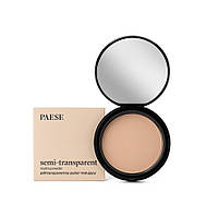 Paese Semi-Transparent Matte Powder полупрозрачная матирующая пудра 5А Натуральный 9 г (7234318)