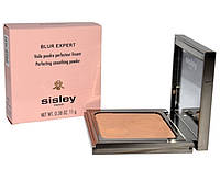 Sisley, Blush Blur Expert Perfecting Smoothing Powder, разглаживающая пудра, 11 г (6958961)