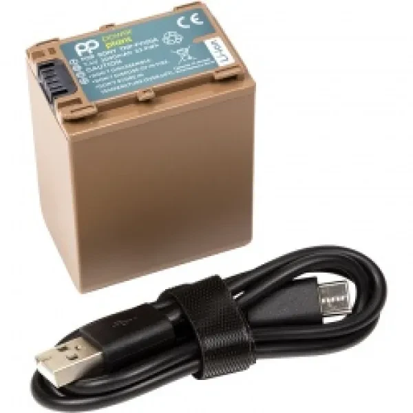Акумулятор для фотоапарата PowerPlant Sony TNP-FV100A 3090mAh з кабелем Type-C