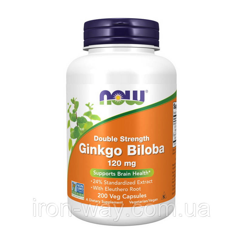 NOW Ginkgo Biloba 120 mg Double Strength (200 veg caps)