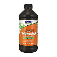 NOW Liquid Chlorophyll (473 ml, mint)