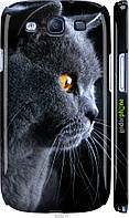 Пластиковый чехол Endorphone Samsung Galaxy S3 i9300 Красивый кот (3038c-11-26985) EV, код: 7500714