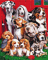 Симаг раскрась! картина по номерам Портрет с собаками (7083268)