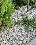 Крихта "Кам'яне Дерево" гнейс (ціна за 1 кг від 1 тони) / крихта кам'яна із сланцю для клумб, фото 2