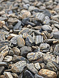 Галька "Кам'яне Дерево" 30-60 мм (ціна за 1 кг від 1 тони) / крихта кам'яна із сланцю, фото 2
