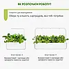 Картридж Click&Grow Цибуля зелена, фото 7