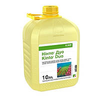 Протравник Кінто Дуо BASF - 10 л