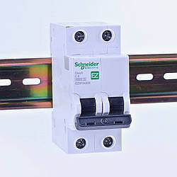Автоматичний вимикач 2p C 6A, Schneider Electric, Easy9, EZ9F34206