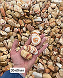 Камінь для клумб та ландшафту «Райдужний» (ціна за 1 кг від 1 тони), фото 3