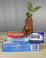 Colgate Advanced White 100 мл.