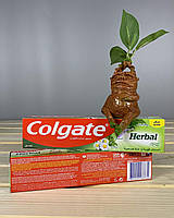 Colgate Herbal - 75 мл.