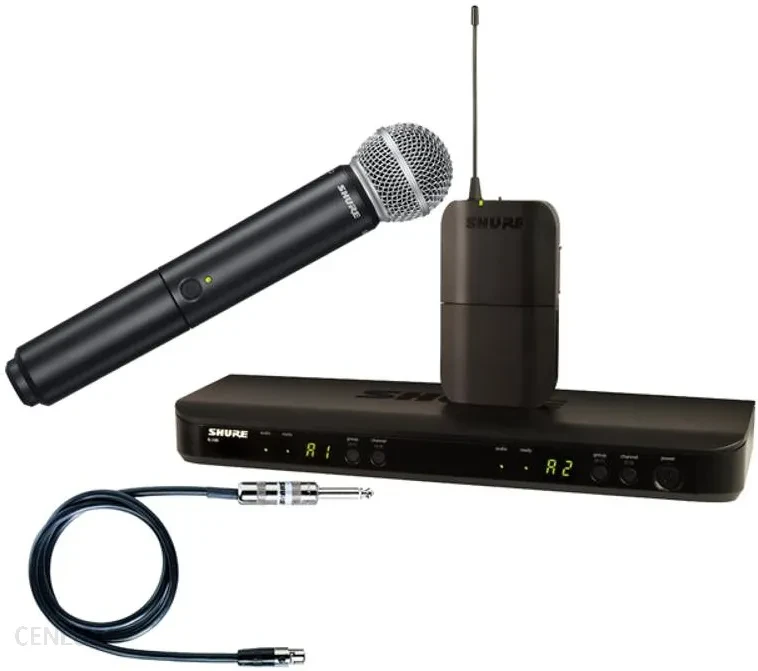 Мікрофон SHURE BLX1288E/SM58