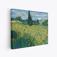 Картина на холсте "Ван Гог, Поле с зелёной пшеницей и кипарисом, Vincent van Gogh, Green Field", 48×60см