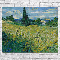 Плакат "Ван Гог, Поле с зелёной пшеницей и кипарисом, Vincent van Gogh, Green Field", 60×74см