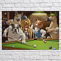 Плакат "Кассиус Кулидж, Собаки играют в бильярд, Cassius Coolidge, Dogs Playing Pool", 41×60см