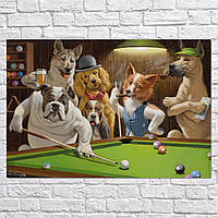 Плакат "Кассиус Кулидж, Собаки играют в бильярд, Cassius Coolidge, Dogs Playing Pool", 72×106см