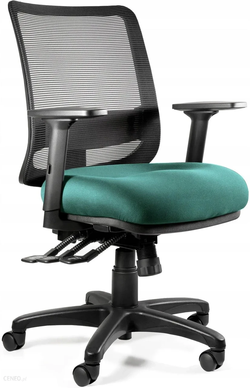 Крісло Unique Fotel Ergonomiczny Saga Plus M Bl413 Tealblue Biur