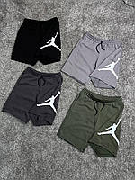 Шорты Jordan Big Logo Jordan Big Logo шорты летние шорты джордан мужские шорты Jordan Шорты Джордан M