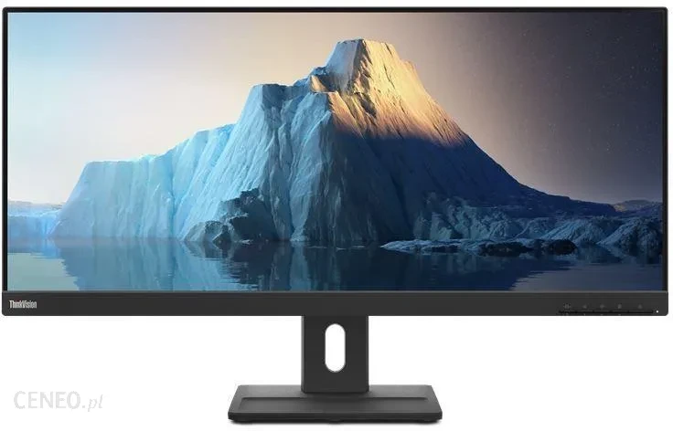 Монітор Lenovo 29.0 ThinkVision E29w-20 WLED LCD (62CEGAT3EU)