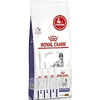 Royal Canin Neutered Adult Medium Dog 3,5кг+4 пауча / Корм для собаки для контроля веса