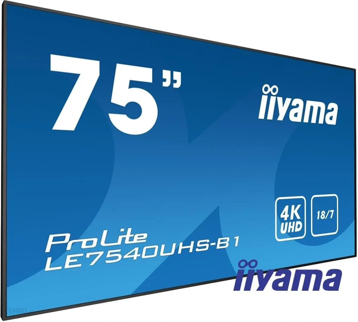 Монітор Iiyama  75" LE7540UHS-B1