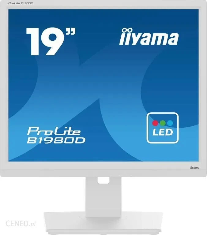 Монітор iiyama 19" ProLite B1980D-W5