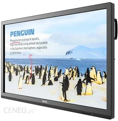 Монітор Benq 55" Rp552H (9Hf2Ftcde2)