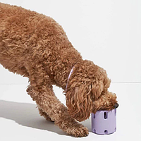 Интерактивная игрушка для собаки прочная износостойкая