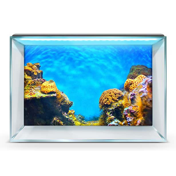 Підводний світ в акваріум наклейка, в різних розмірах 50х85 см