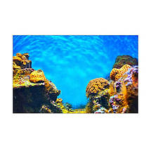 Підводний світ в акваріум наклейка, в різних розмірах 50х85 см, фото 3