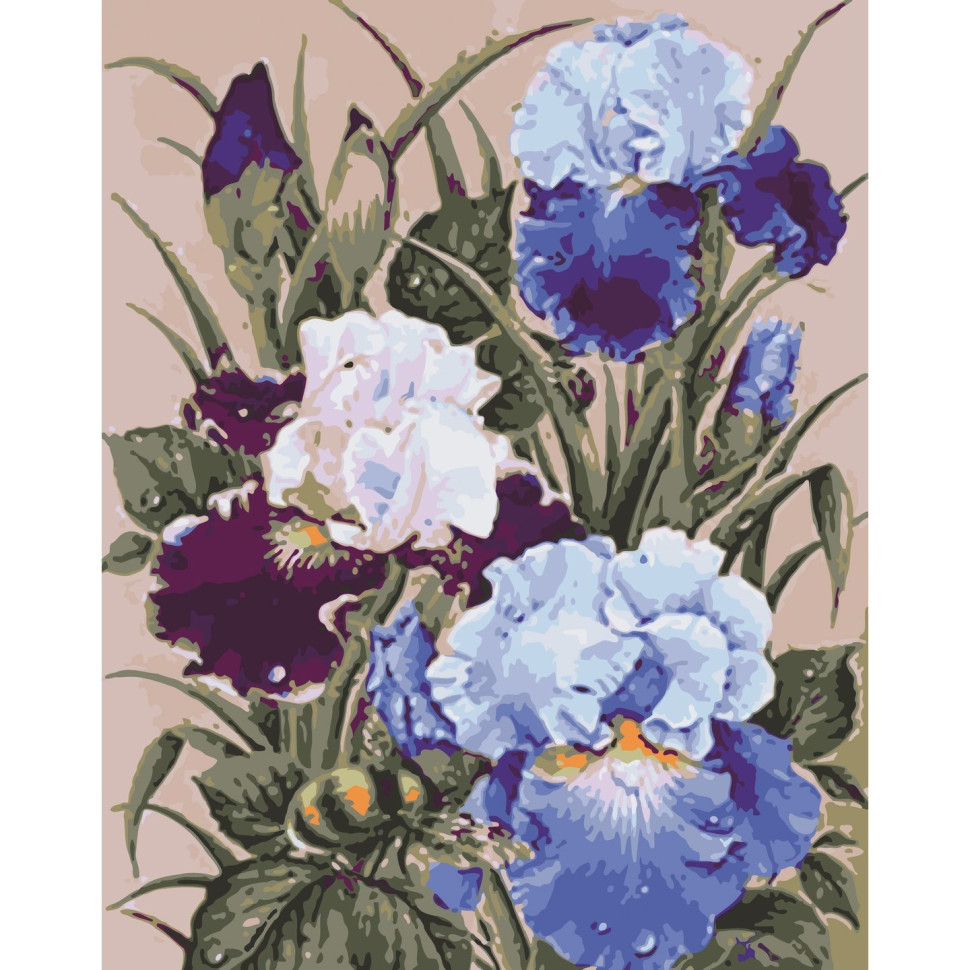 Картина за номерами Півня лак 40*50см, ART Craft, 13145