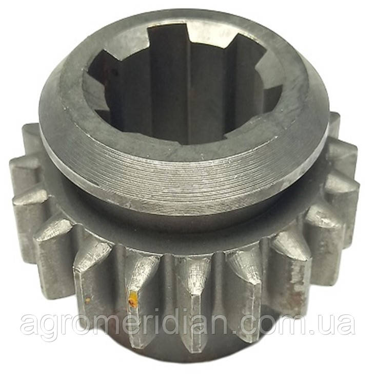 Шестерня первичного вала Shifeng 244, фото 1