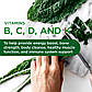 Біодоступні щоденні вітаміни преміумкласу Emerald Labs Complete 1-Daily Multi 60 капсул, фото 3